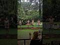 Closing Animal Show Bird Park Royal Safari Garden 🐦🌲#animalshow #birdpark #royalsafarigarden #shorts