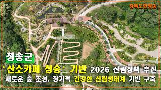 청송군, ‘산소카페 청송’ 기반 2026 산림정책 추진