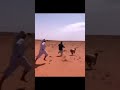 مكشات ضحك