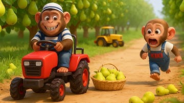 Baby Monkey LULU Drives The Tractor to Harvest Pears and Catch Sneaky Thieves on The Farm!