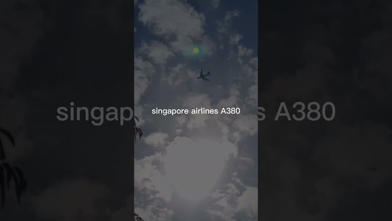 My top aviation finds of 2024