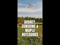 Audrey, Sunshine &amp; Maple Notebooks #shorts