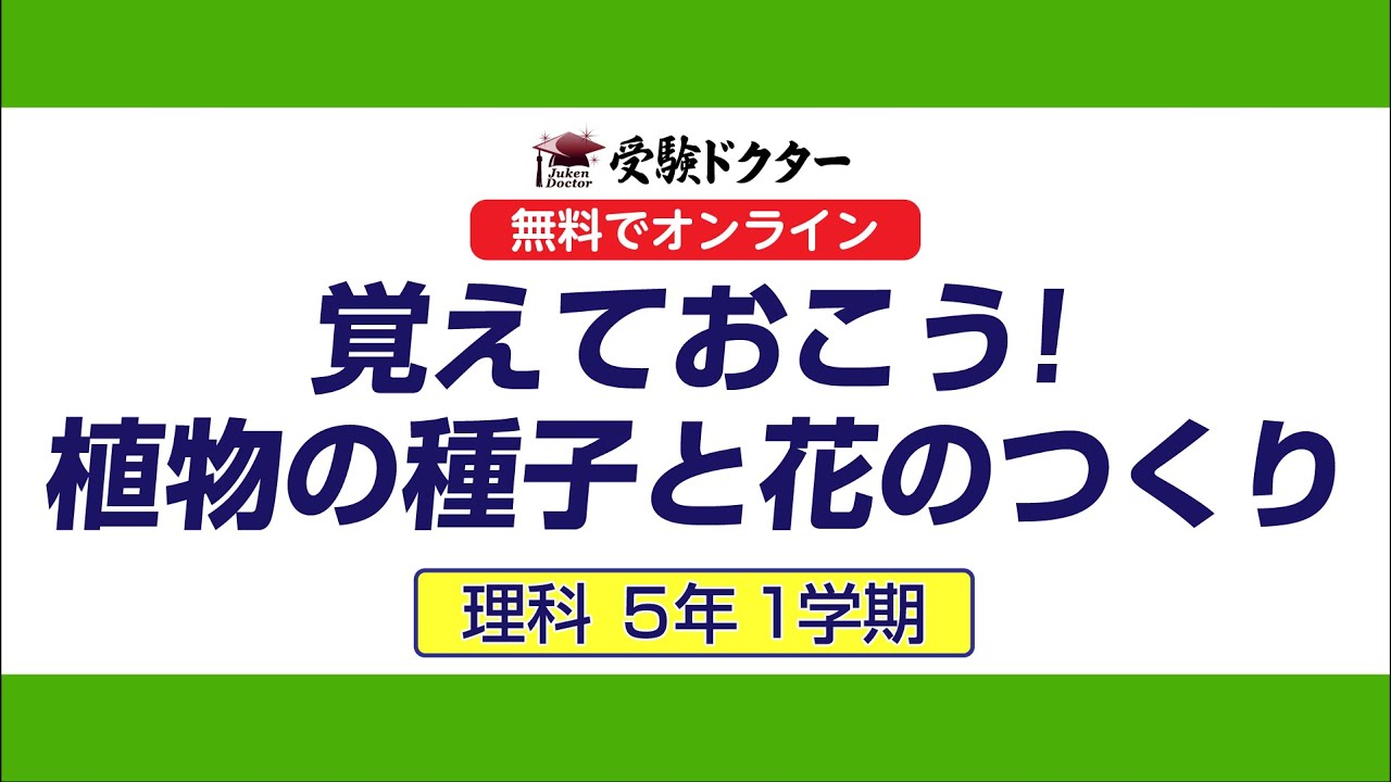 5年 理科 覚えておこう 植物の種子と花のつくり 無料でオンライン 受験ドクター Youtube