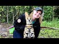 Spring Break with Nile Crocodiles, Alligators, and an African Serval