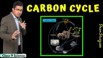 Carbon Cycle | Natural Resources | Class 9 Science | CBSE | NCERT - FREE EDUCATION