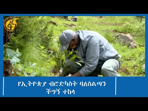 ቪዲዮ: የግንባታ እና ተከላ ስራዎች ማብራሪያ፡ የግንባታ እና ተከላ ስራዎች