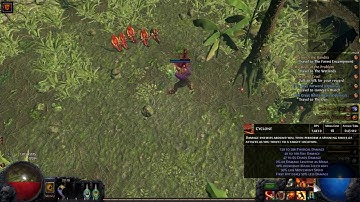 Path of Exile - Zerphi