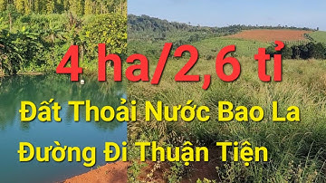 (Số 979)Vườn 4ha Đã Trồng Cà Phê  Đường Đi Thuận Tiện Thế Đất Bằng Phẳng 