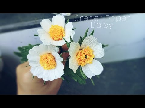 How to make daisy paper flower tutorial|hướng dẫn làm hoa cúc họa mi