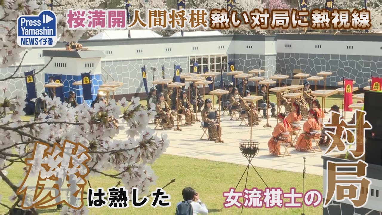 桜満開人間将棋、熱い対局に熱視線 天童市・舞鶴山山頂 - YouTube