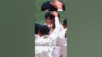 🥵 Starc ❤️ Song Daku 🥶 Cricket Edit Status