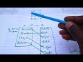 Mapping and Function 1: Further Mathematics ss1 2nd term