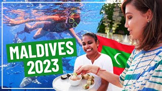 Maldives Vlog I Luxury Villa Tour, Maafushi Island, &amp; Swimming with Sharks &amp; more!