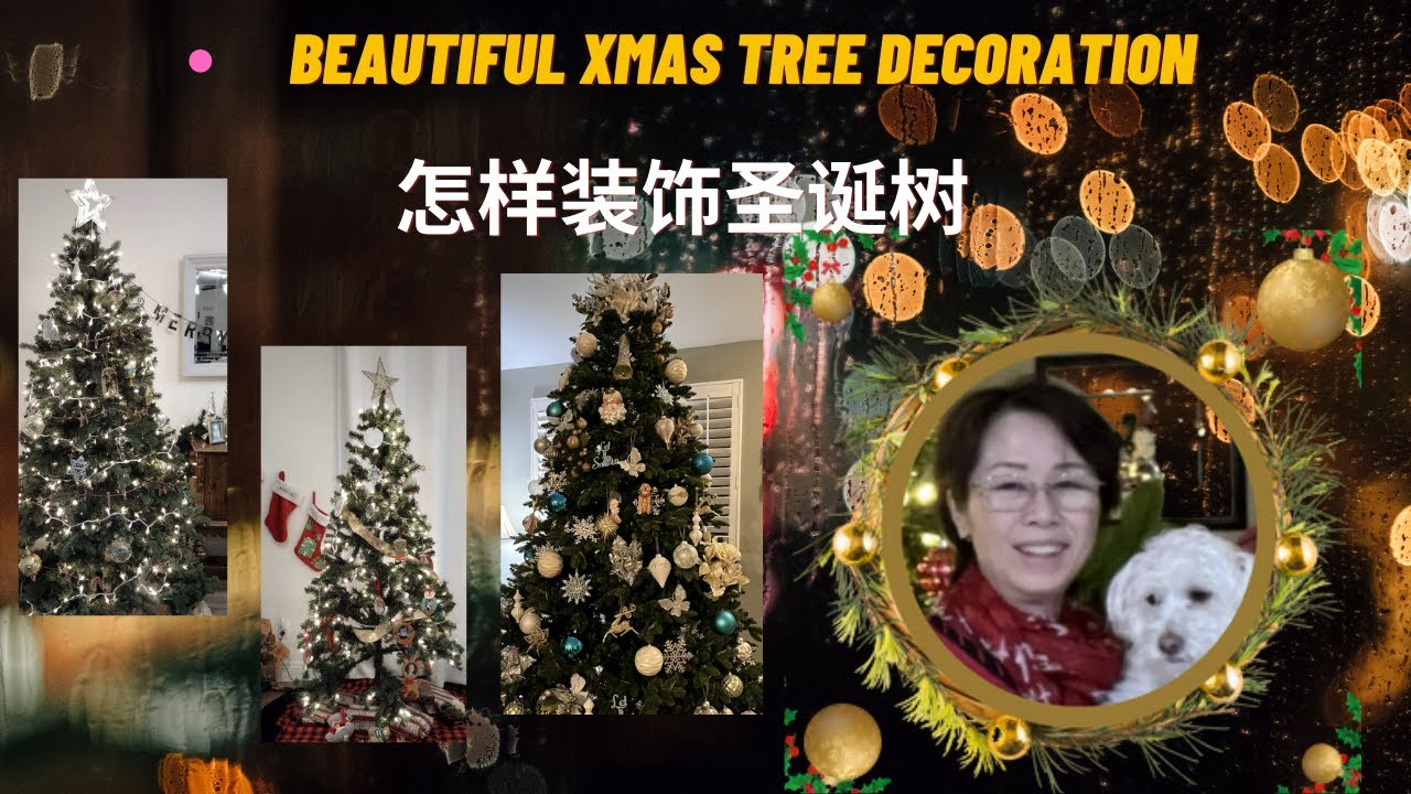 如何装饰圣诞树 (一步步指导你) Decorate a Christmas tree like a pro step by step