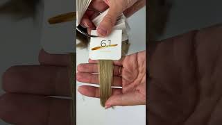 IMG 4748
