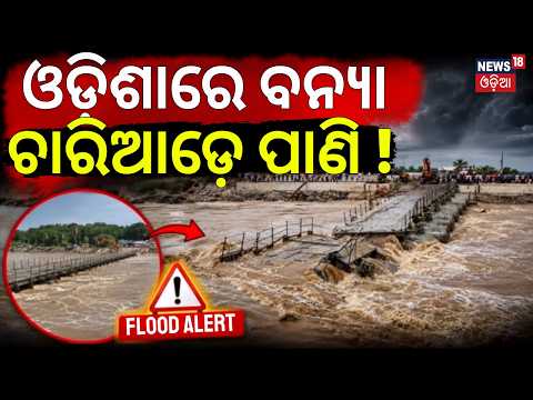 ଓଡ଼ିଶାରେ ବନ୍ୟା ! ଚାରିଆଡ଼େ ପାଣି...Odisha Rain Update | Flood Alert | Red Alert | Heavy Rainfall