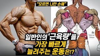 '근육량' 빠르게 늘려주는 운동 1위는 무엇일까? (스쿼트 vs 데드리프트)