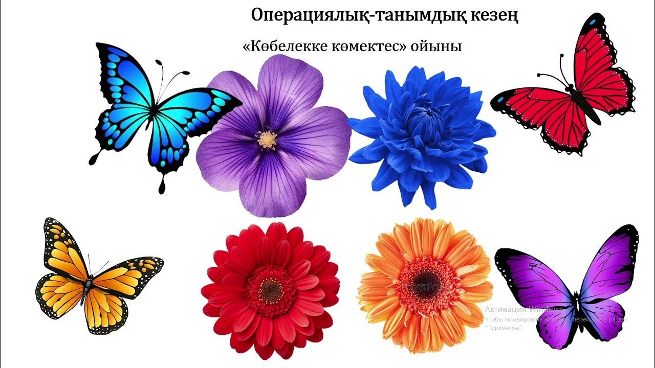 Сексуалды бөкселер мен кискалар Ұялшақ, ұялшақ орыс әйелінің шешініп жатқан суреті