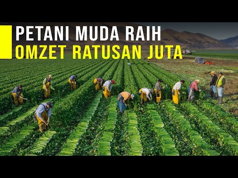 Video: Surga Soviet. Arsip: 6457 pasien ditolak rawat inap