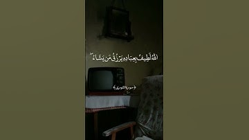 الله لطيف بعباده | ماهر المعيقلي | سورة الشورى | #quran #قرآن #ماهر_المعيقلي
