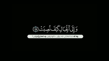 افلا ينظرون إلى الابل كيف خلقت شاشة سوداء | كرومات قرآن كريم | الشيخ عبدالباسط عبدالصمد شاشة سوداء