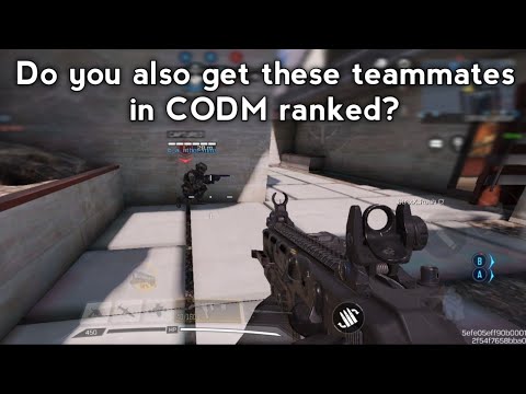 I swear you also get these kind of teammates in codm ranked
