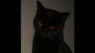 criminal cover (slowed   reverb)