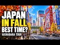 Akihabara Tour Best Time Visit Japan in Fall