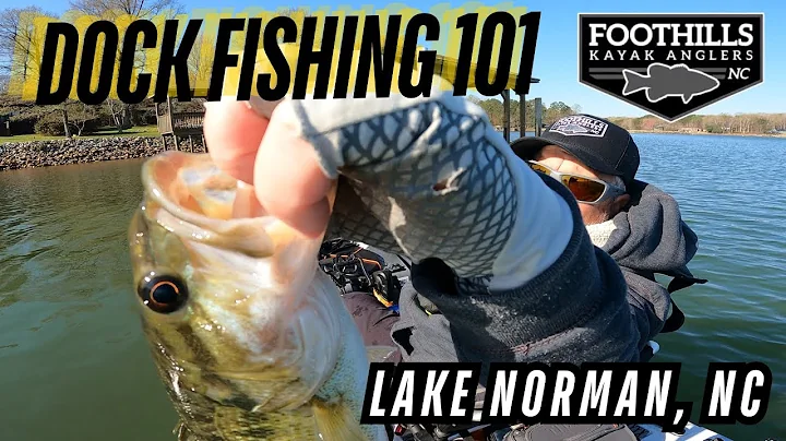 Dock Fishing 101 on Lake Norman, NC (FKA) tons of fish caught!