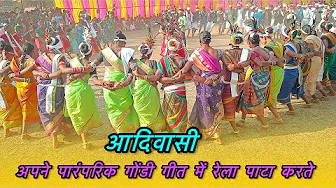 आदिवासी गोड़ी गीत पर रेला पाटा | Chhattisgarh Tribal Dance | Koytur Beta