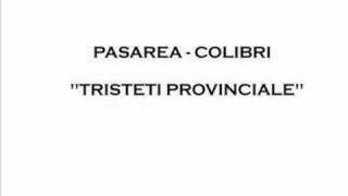Pasarea Colibri - Tristeti provinciale chords