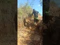 Glasshouse Enduro mp3