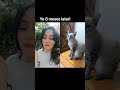 Cambio físico 8 meses después  #fitness #cambiofísico #youtubeshorts #españa