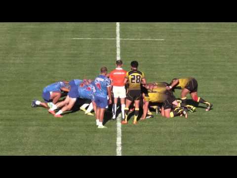 ჯიქები-აკადემია