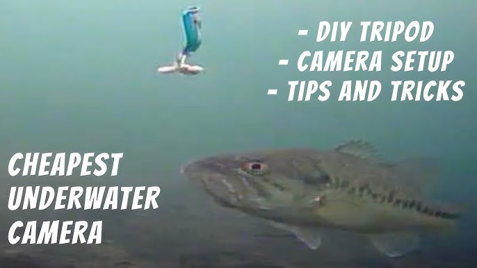 Stop Buying Expensive Fishing Cameras! 