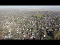 Полет над дачами Осташково, Омск, квадрокоптер. flying on a quadrocopter over country houses siberia