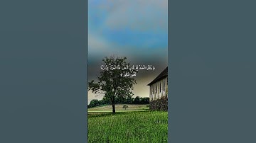 الحمد لله الذي أذهب عنا الحزن ، سورة فاطر تلاوة جميلة جدا القرآن الكريم 🌹🥺  #اسلام_صبحي #راحة_نفسية