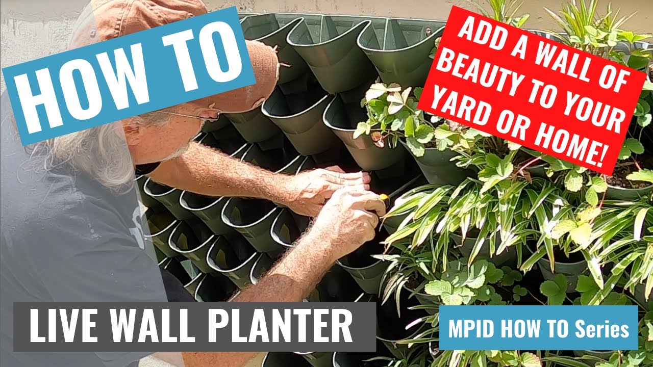 HOW TO CREATE A LIVING PLANT WALL (House Building in the Philippines)