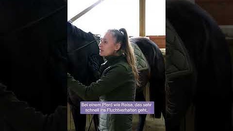 RTRT in de praktijk: Langeteugeltraining met Raisa