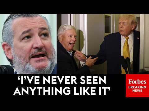 Ted Cruz Remembers The 'Extraordinary' Relationship Between Trump And Lindsey Graham