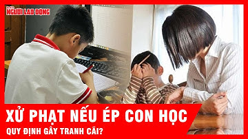 Tranh luận nảy lửa việc phụ huynh bị xử phạt nếu ép con học quá mức | Tin tức