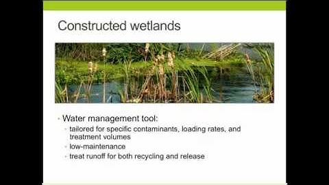 Ecological approaches to water treatment: Constructed Wetlands