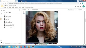 I have tested neural style transfer on google colab. Second time around.