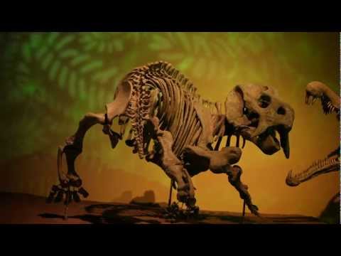 Video: New Mexico Museum of Natural History and Science in Albuquerque