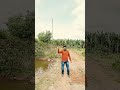 .... #song #ಕರ್ನಾಟಕ