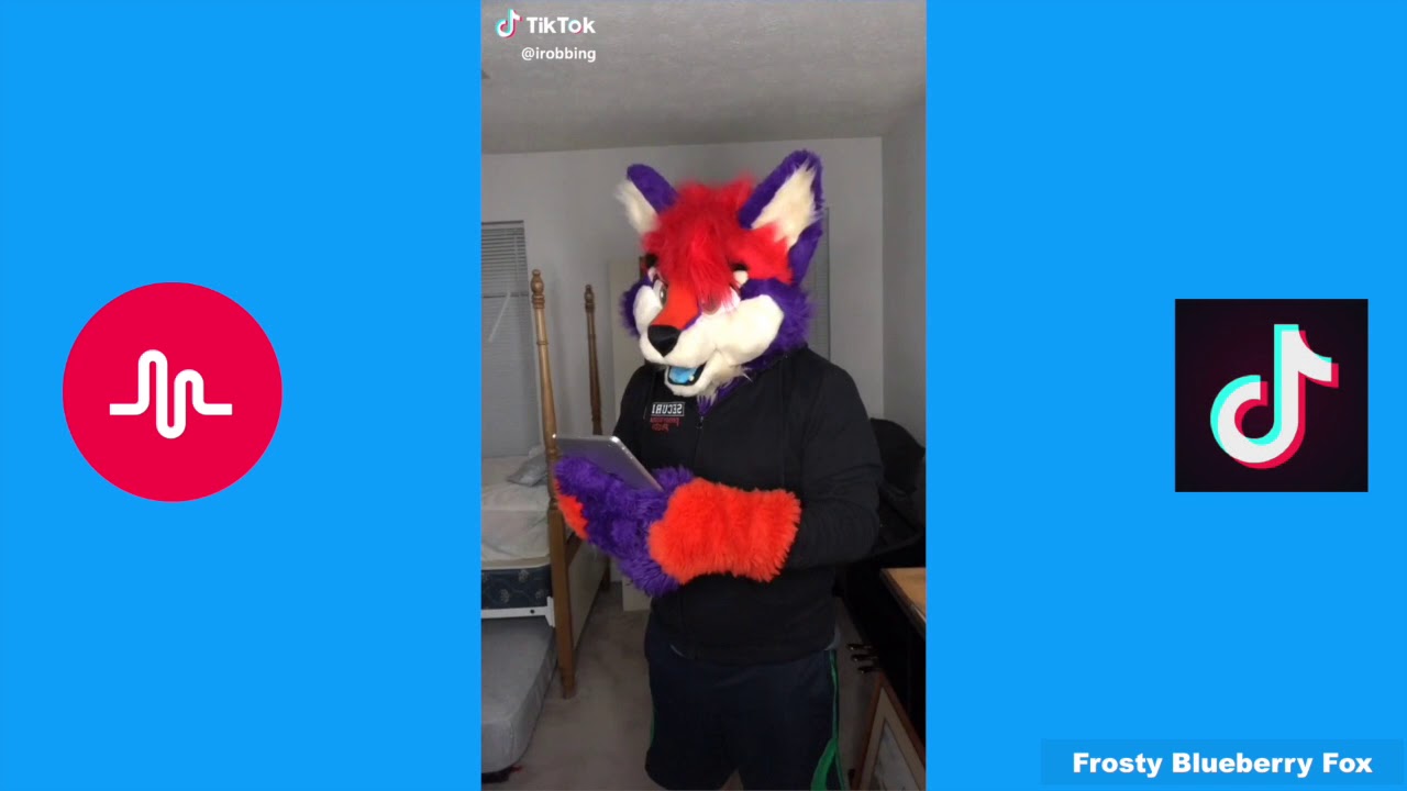 Furry Tik Tok Compilation #9 - YouTube