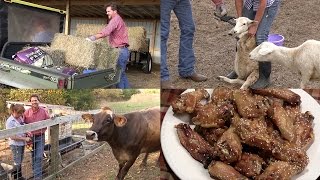 Around the Farm (Behind-the-Scenes) of Tim Farmer's Country Kitchen (Episode #377)