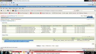 How to Manage Current Backup in Oracle 11G Enterprise Manager ?