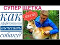 Супер способ вычесать собаку.  FURminator мечта любой собаки! Фурминатор волшебная расческа.