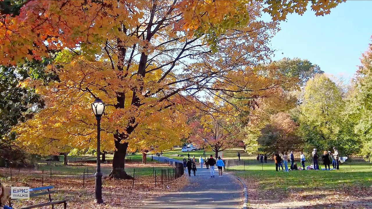 [4K] Central Park with Fall Foliage Virtual Walking Tour in New York